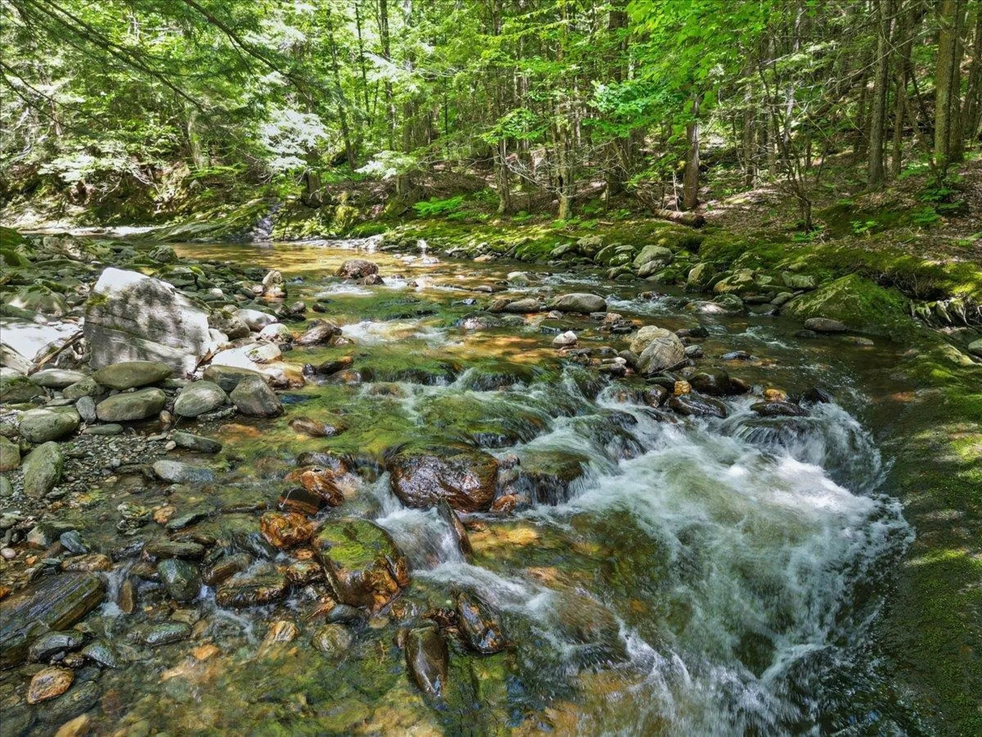 1994 Sterling Valley Road Morristown VT 05661
