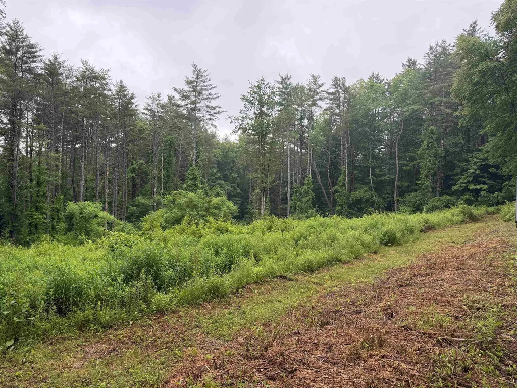63 West Hill Putney VT 05346