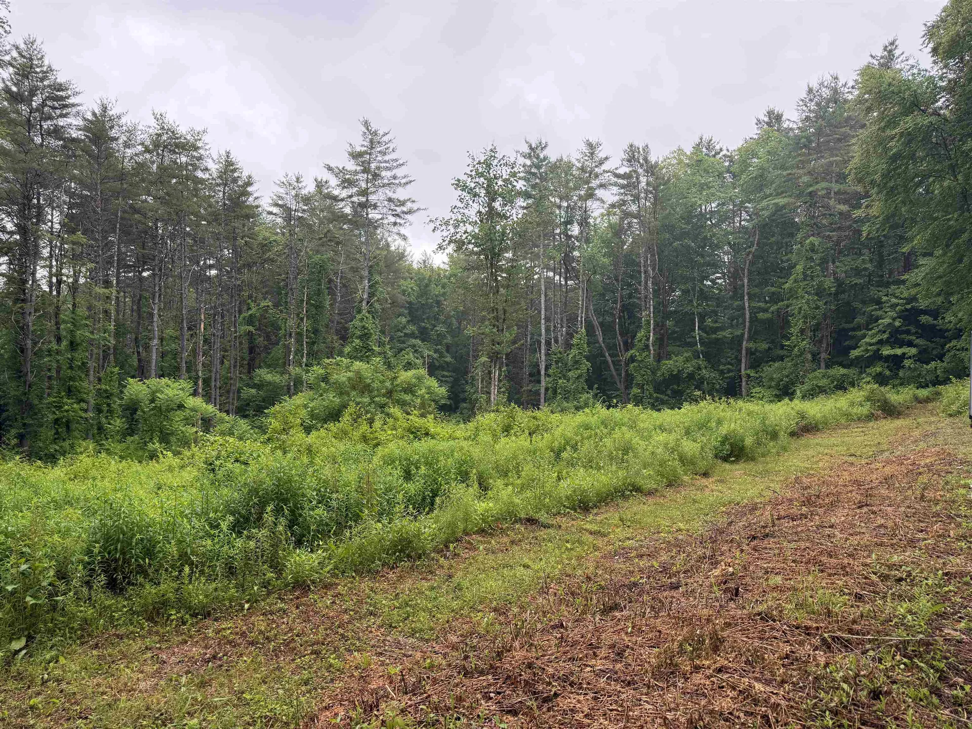 63 West Hill Putney VT 05346