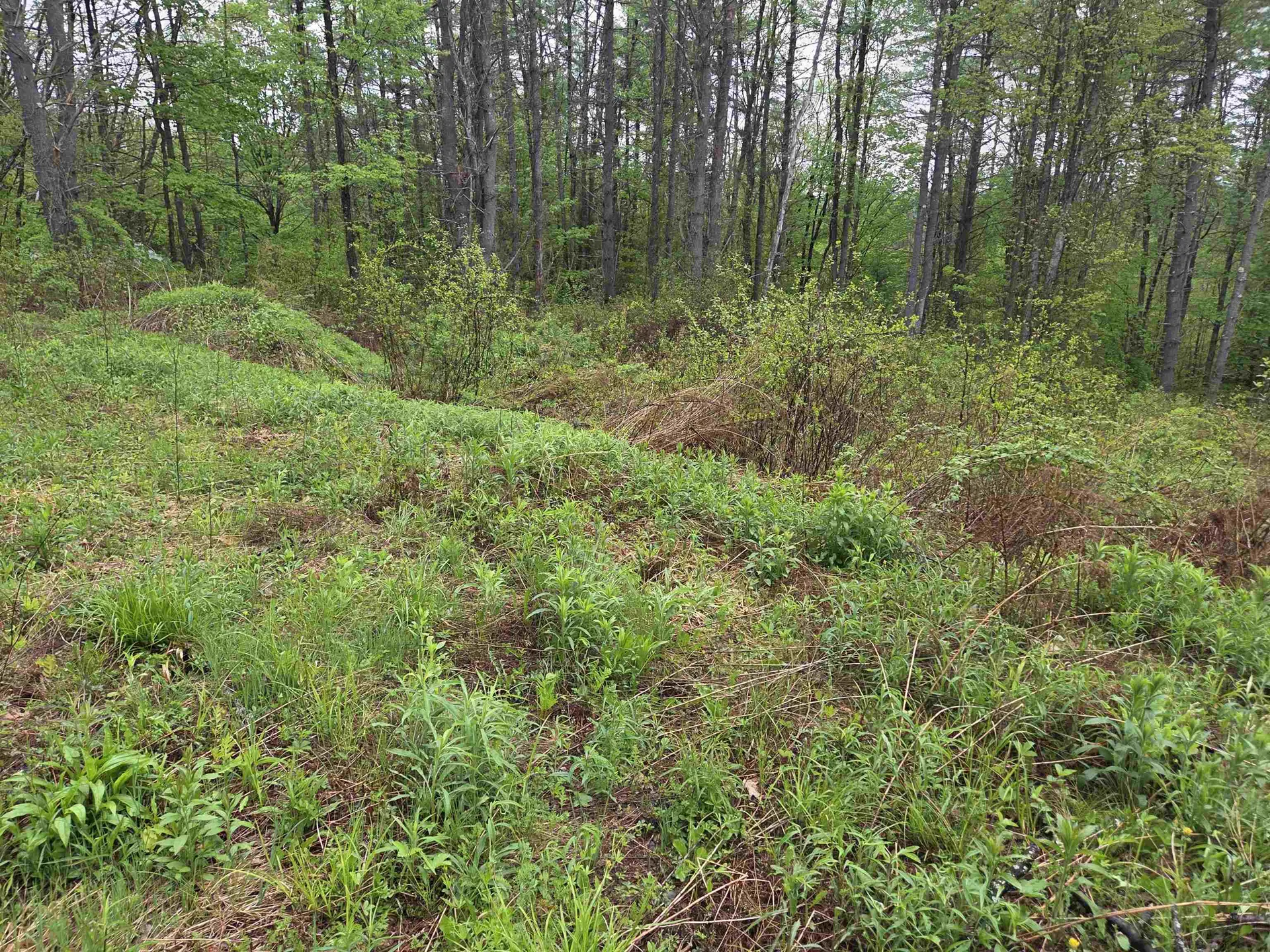 63 West Hill Putney VT 05346