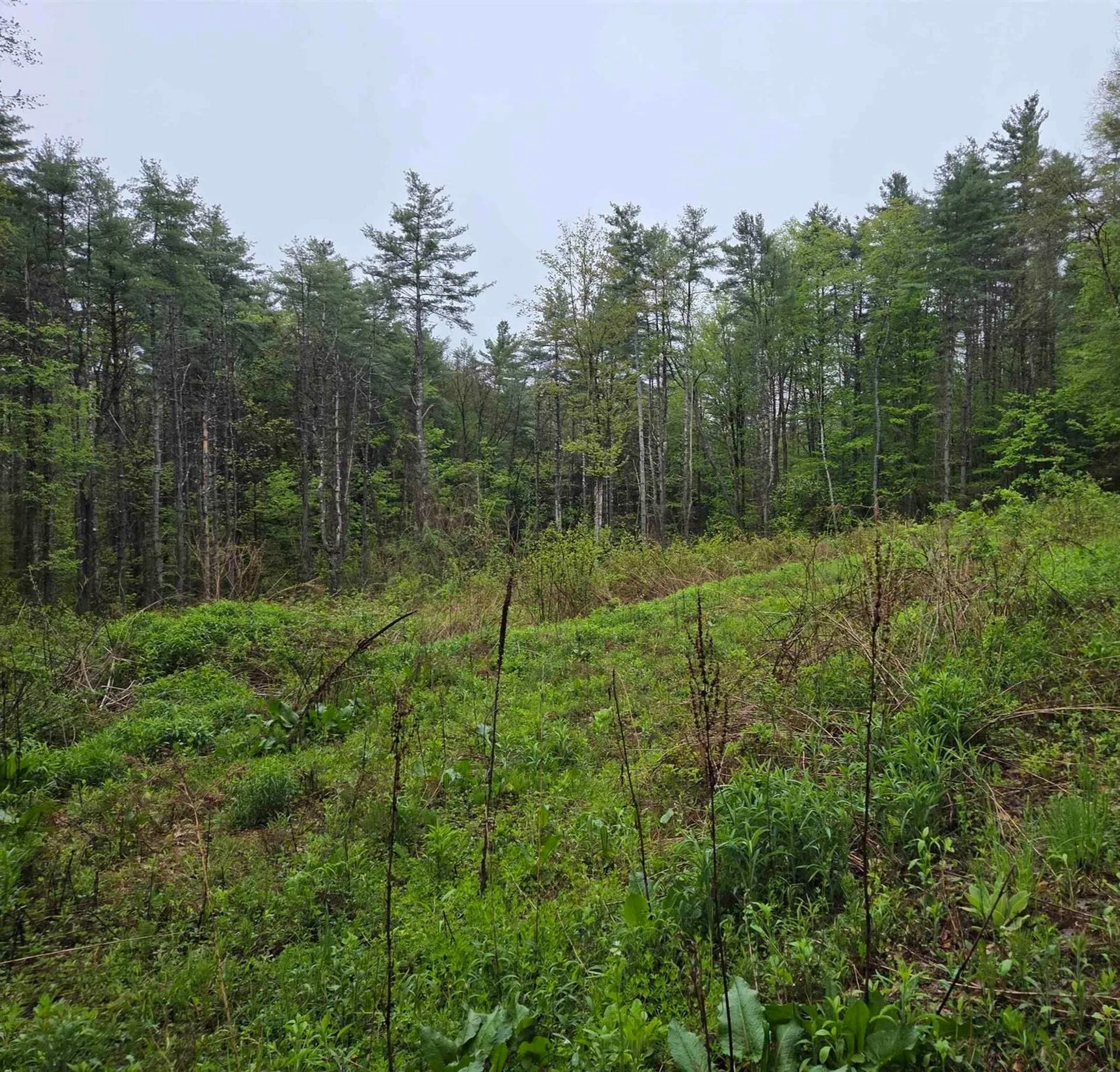 63 West Hill Putney VT 05346