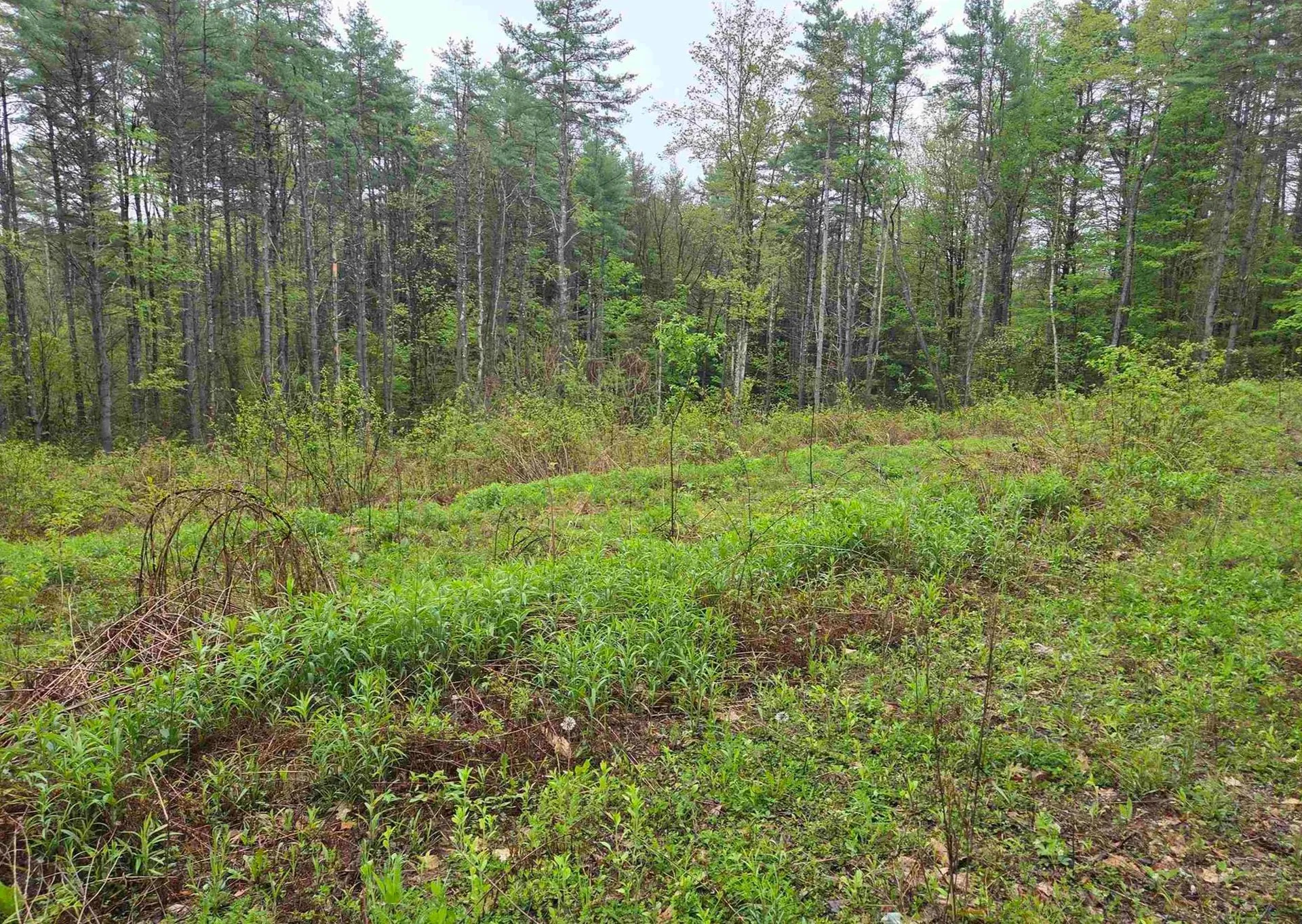 63 West Hill Putney VT 05346