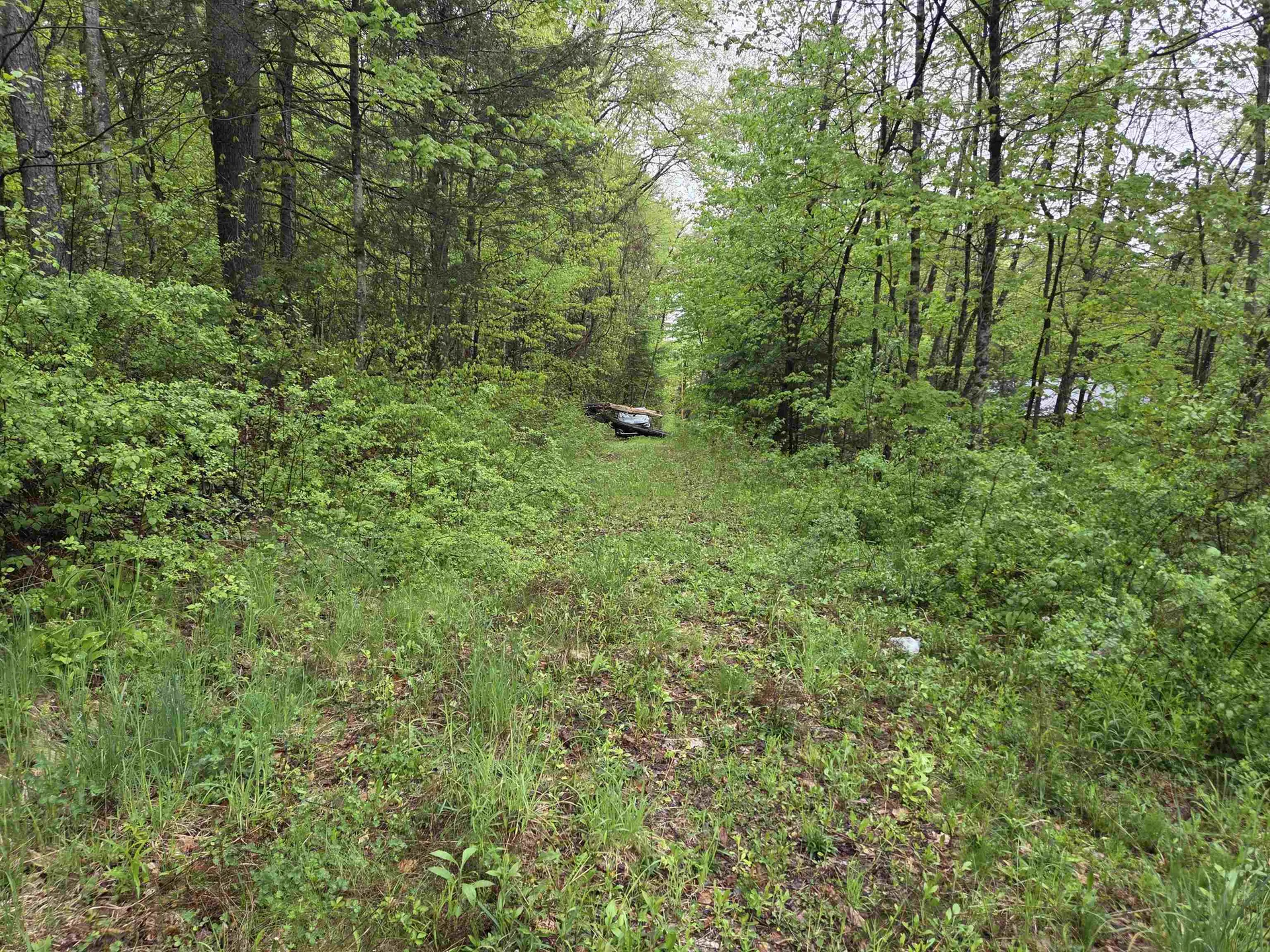 63 West Hill Putney VT 05346