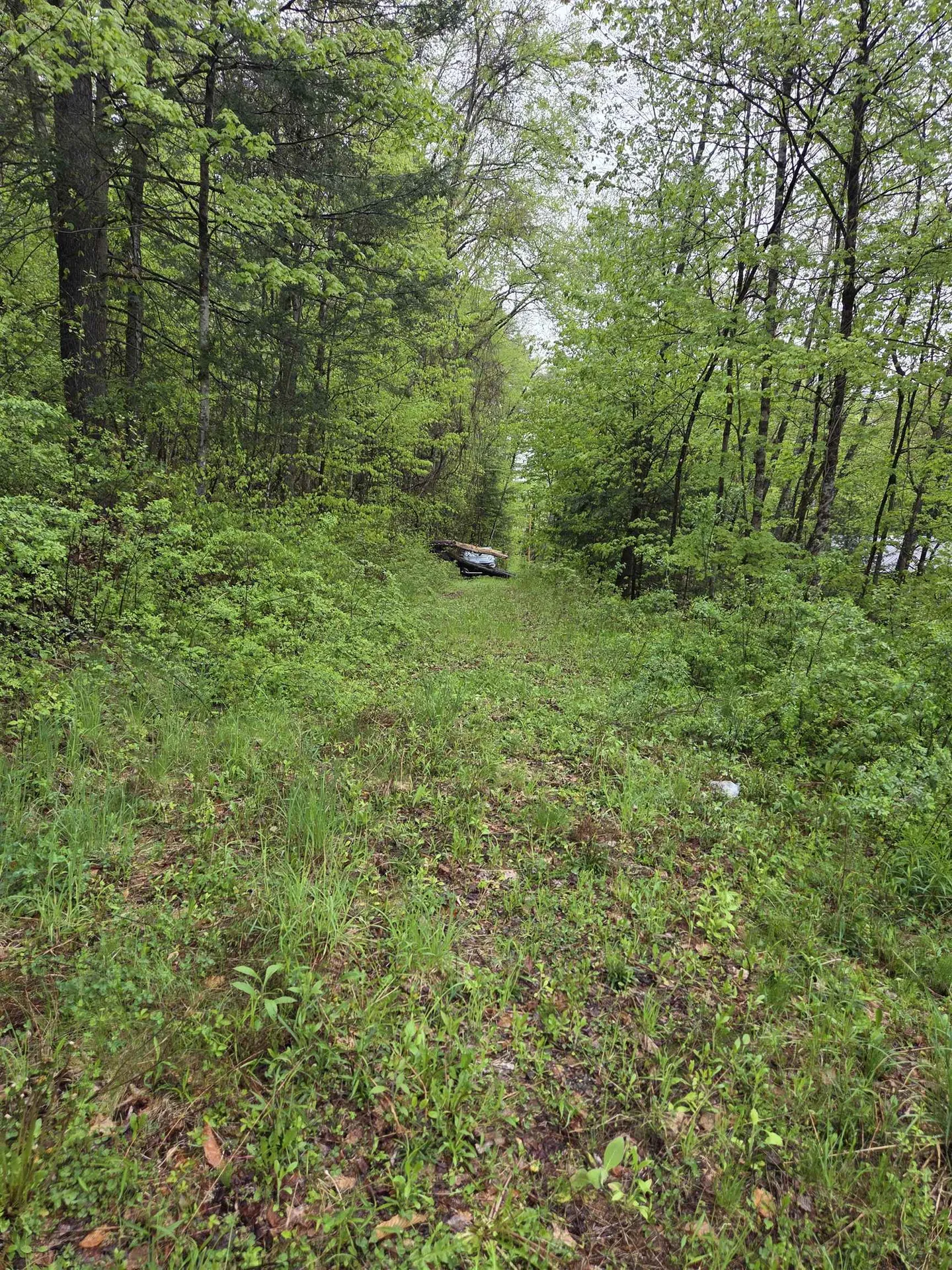 63 West Hill Putney VT 05346