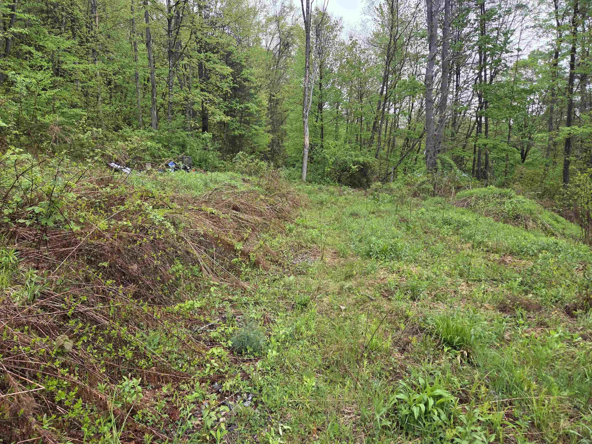 63 West Hill Putney VT 05346