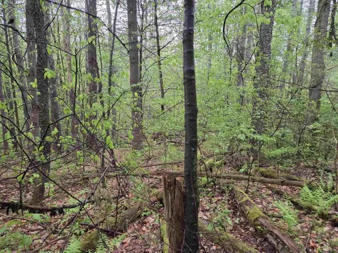 63 West Hill Putney VT 05346