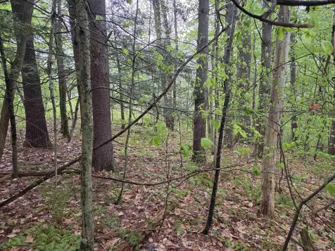 63 West Hill Putney VT 05346