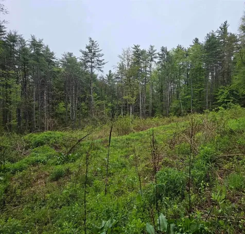 63 West Hill Putney VT 05346