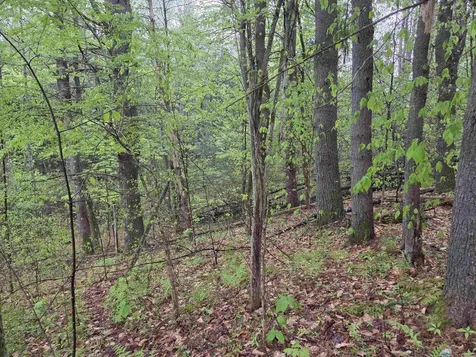 63 West Hill Putney VT 05346