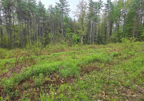 63 West Hill Putney VT 05346