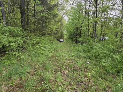 63 West Hill Putney VT 05346