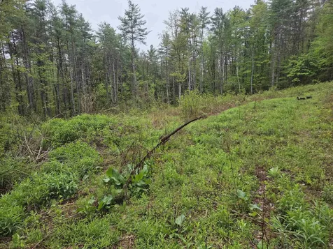 63 West Hill Putney VT 05346