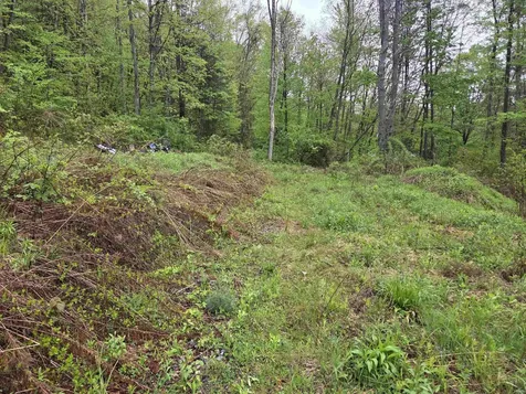 63 West Hill Putney VT 05346