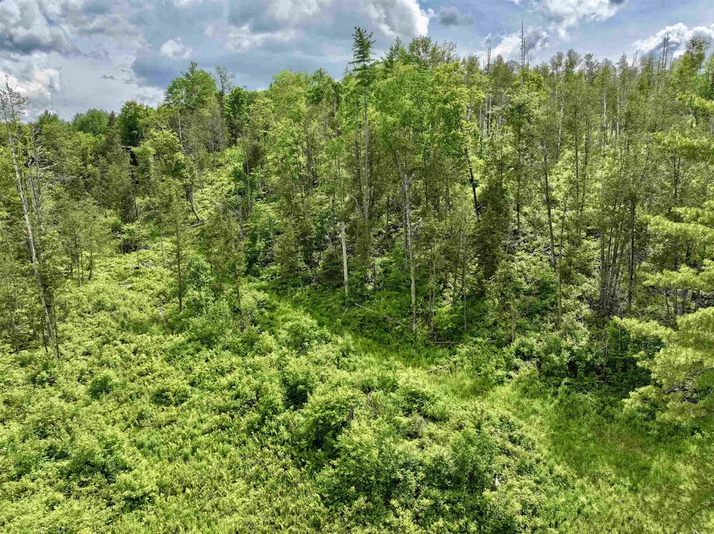 1723 Lightening Ridge Road Calais VT 05650