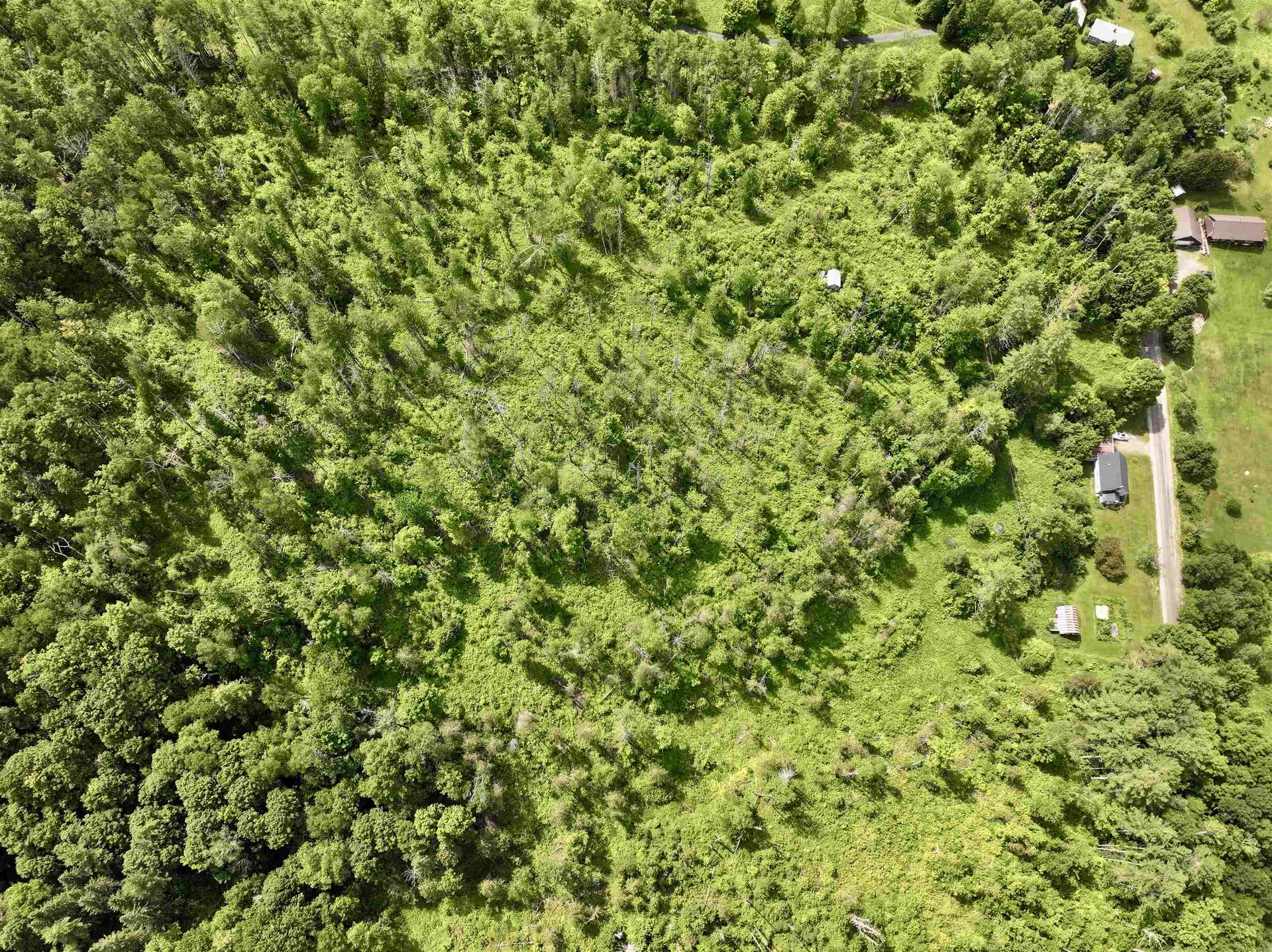 1723 Lightening Ridge Road Calais VT 05650