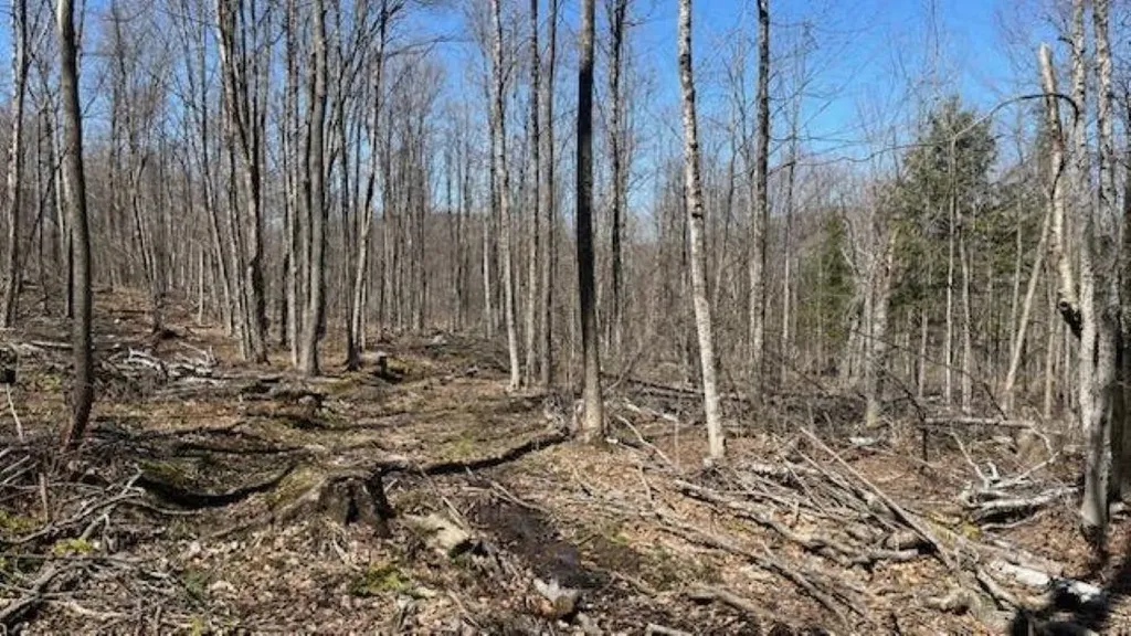 1376 Kingdom Road Plymouth VT 05056