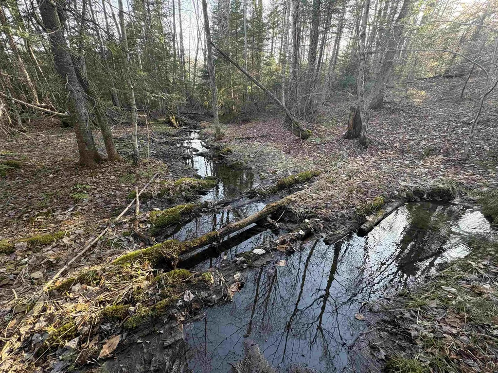 208 Drake Place Road Sheffield VT 06359
