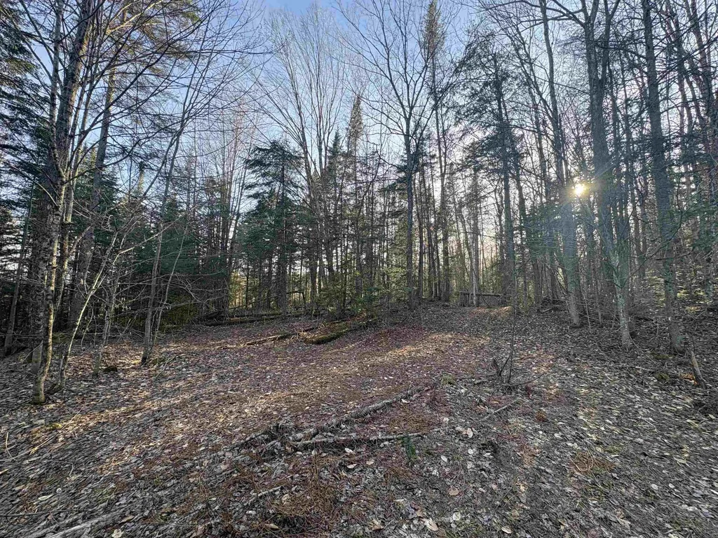 208 Drake Place Road Sheffield VT 06359