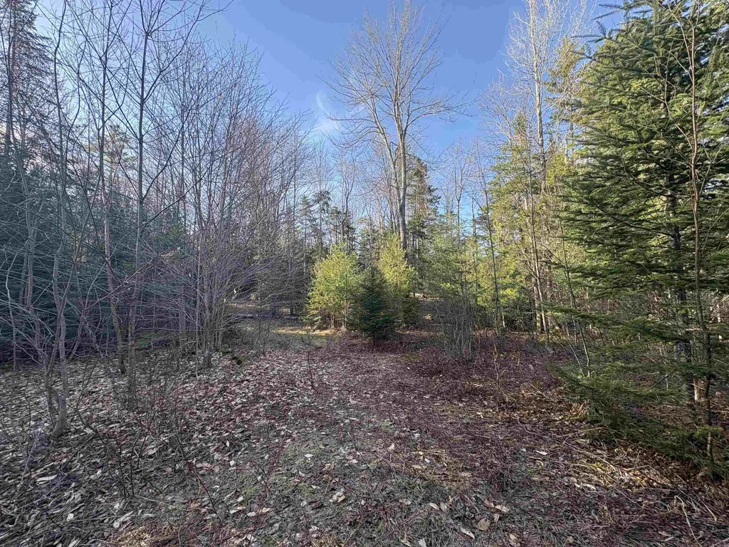 208 Drake Place Road Sheffield VT 06359
