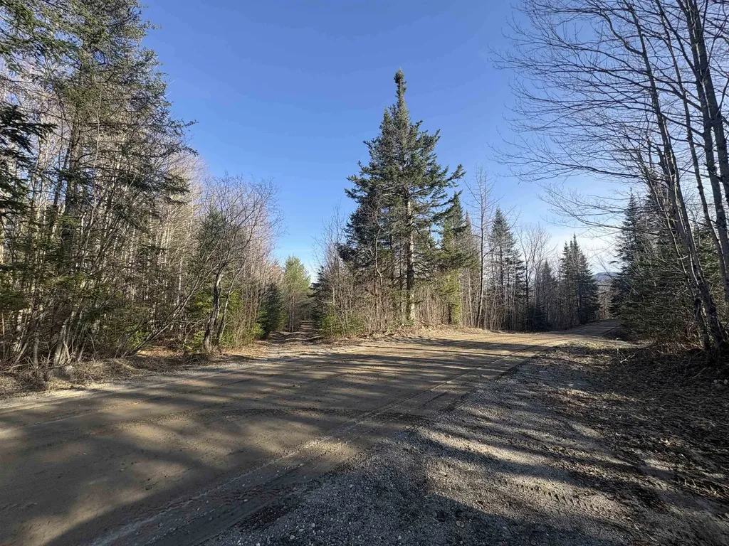 208 Drake Place Road Sheffield VT 06359