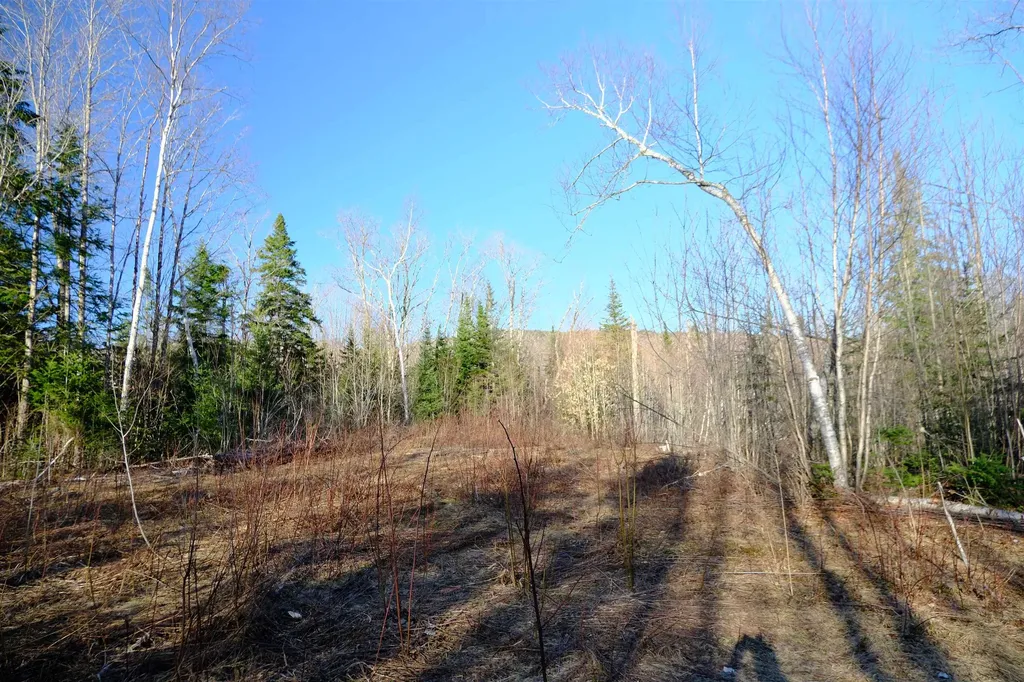 208 Drake Place Road Sheffield VT 06359