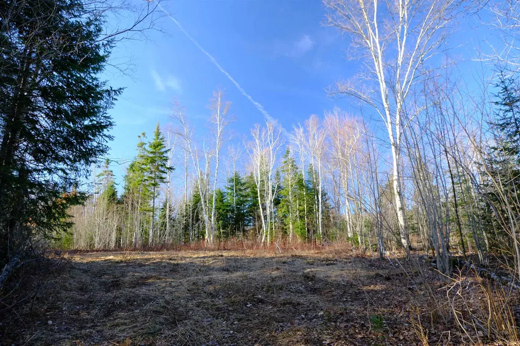 208 Drake Place Road Sheffield VT 06359