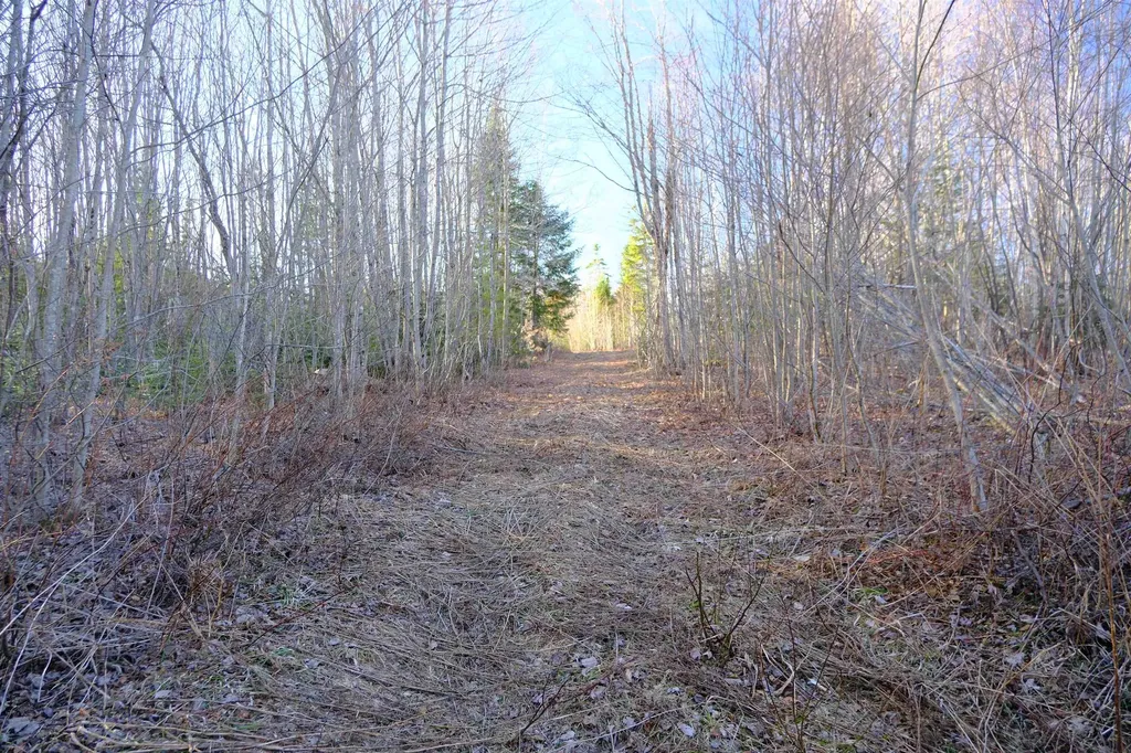 208 Drake Place Road Sheffield VT 06359