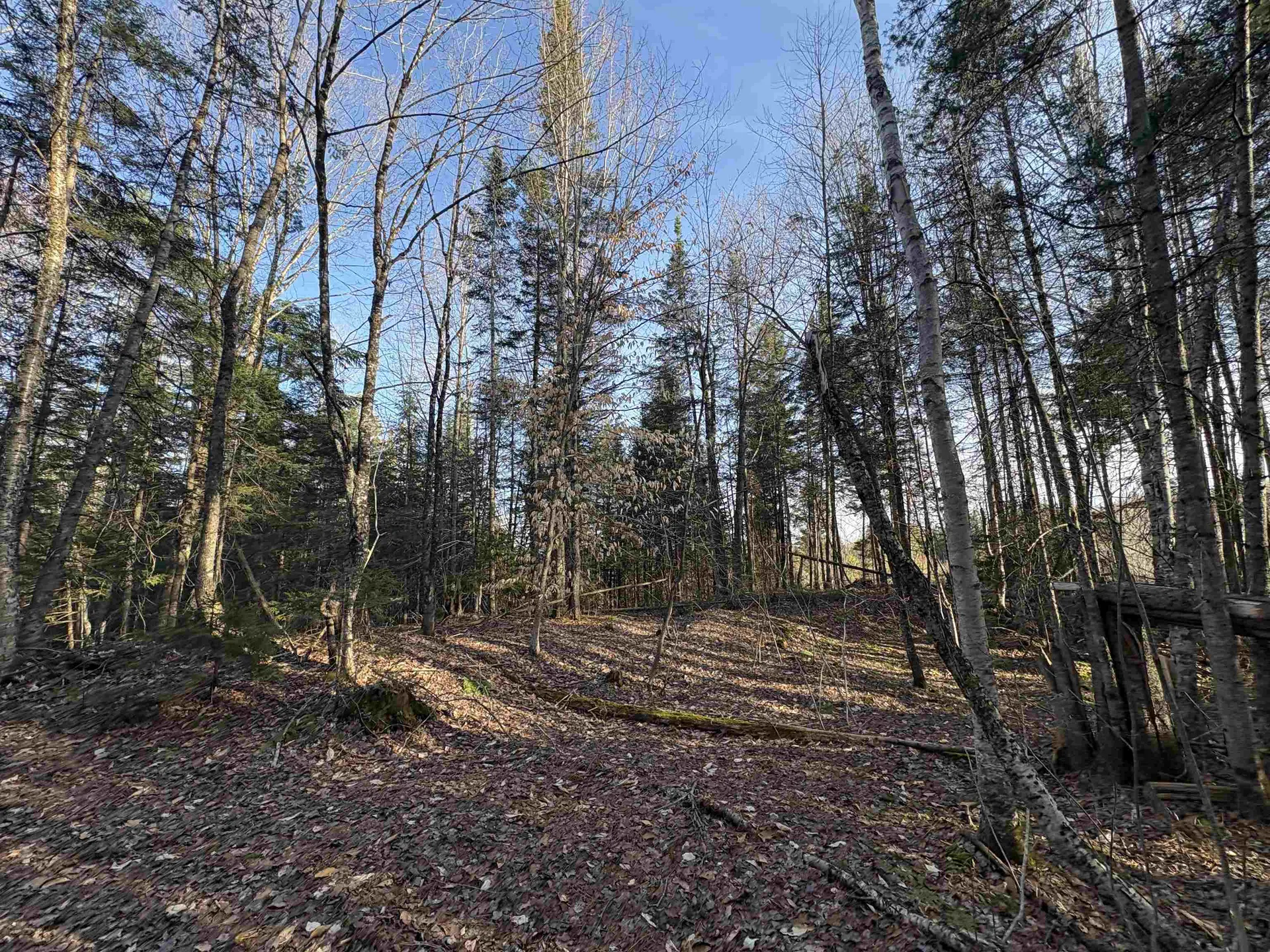 208 Drake Place Road Sheffield VT 06359