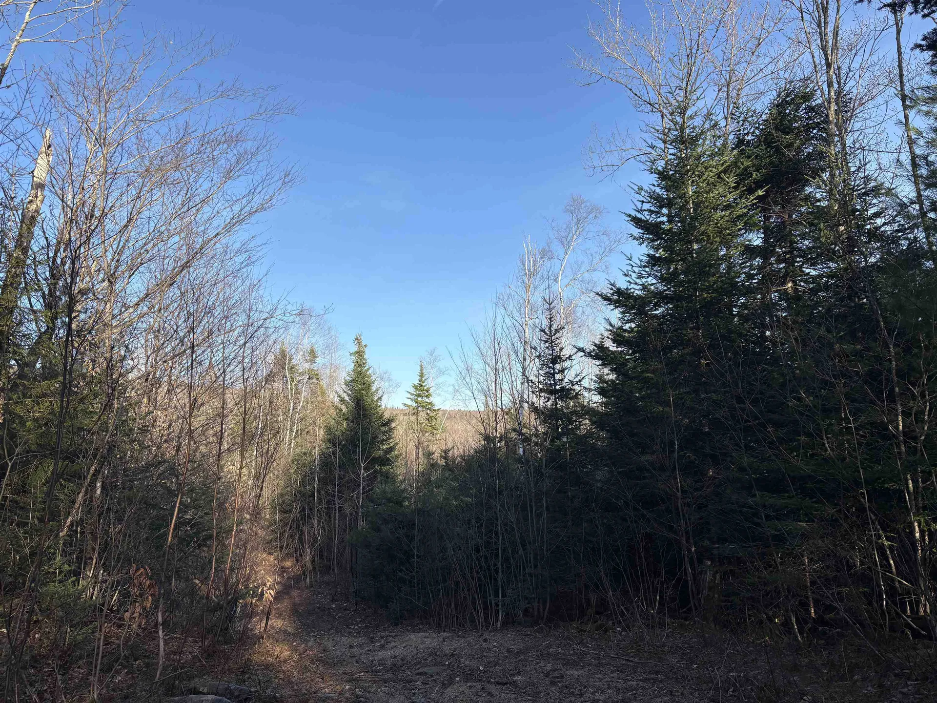 208 Drake Place Road Sheffield VT 06359