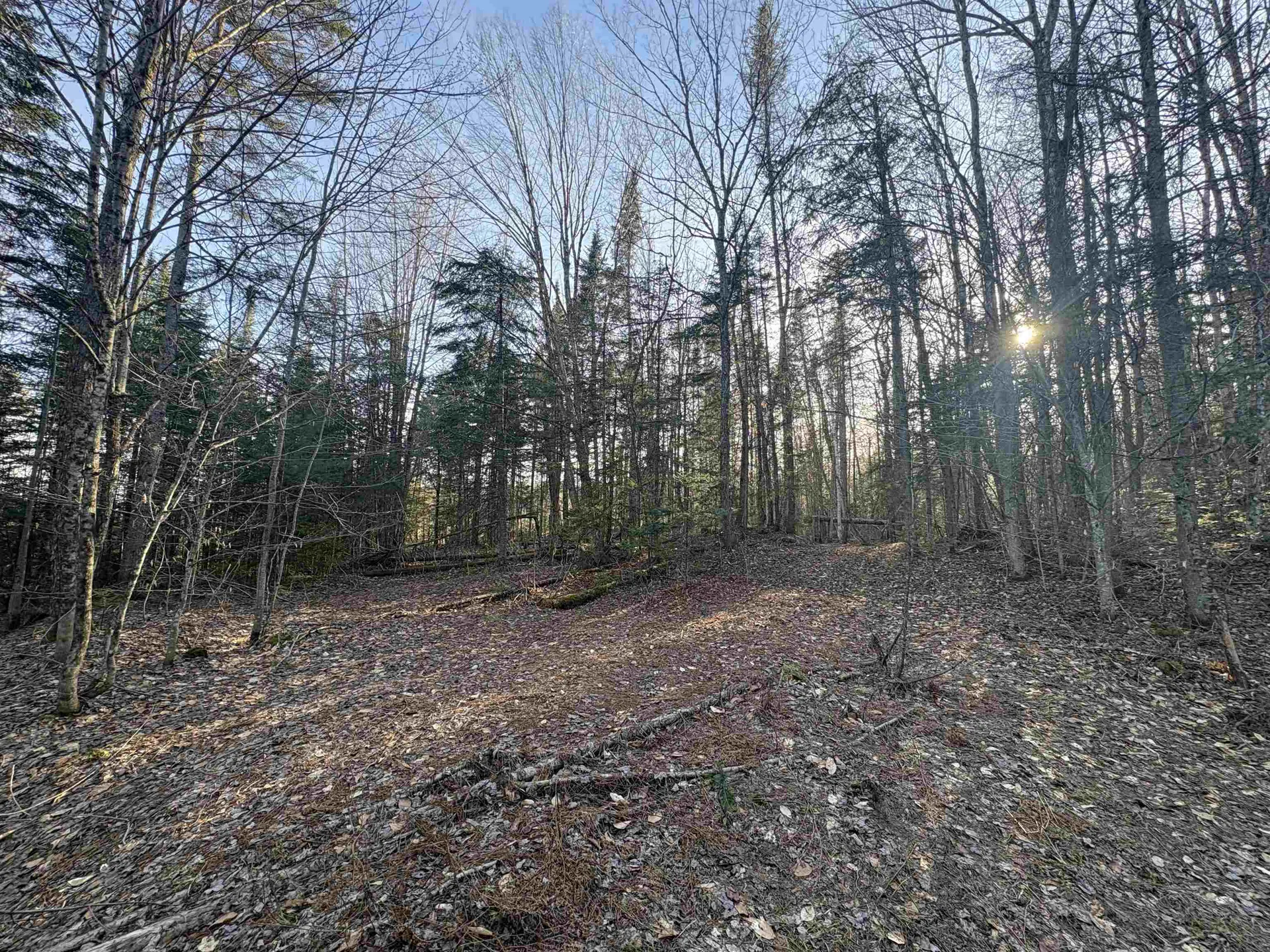 208 Drake Place Road Sheffield VT 06359