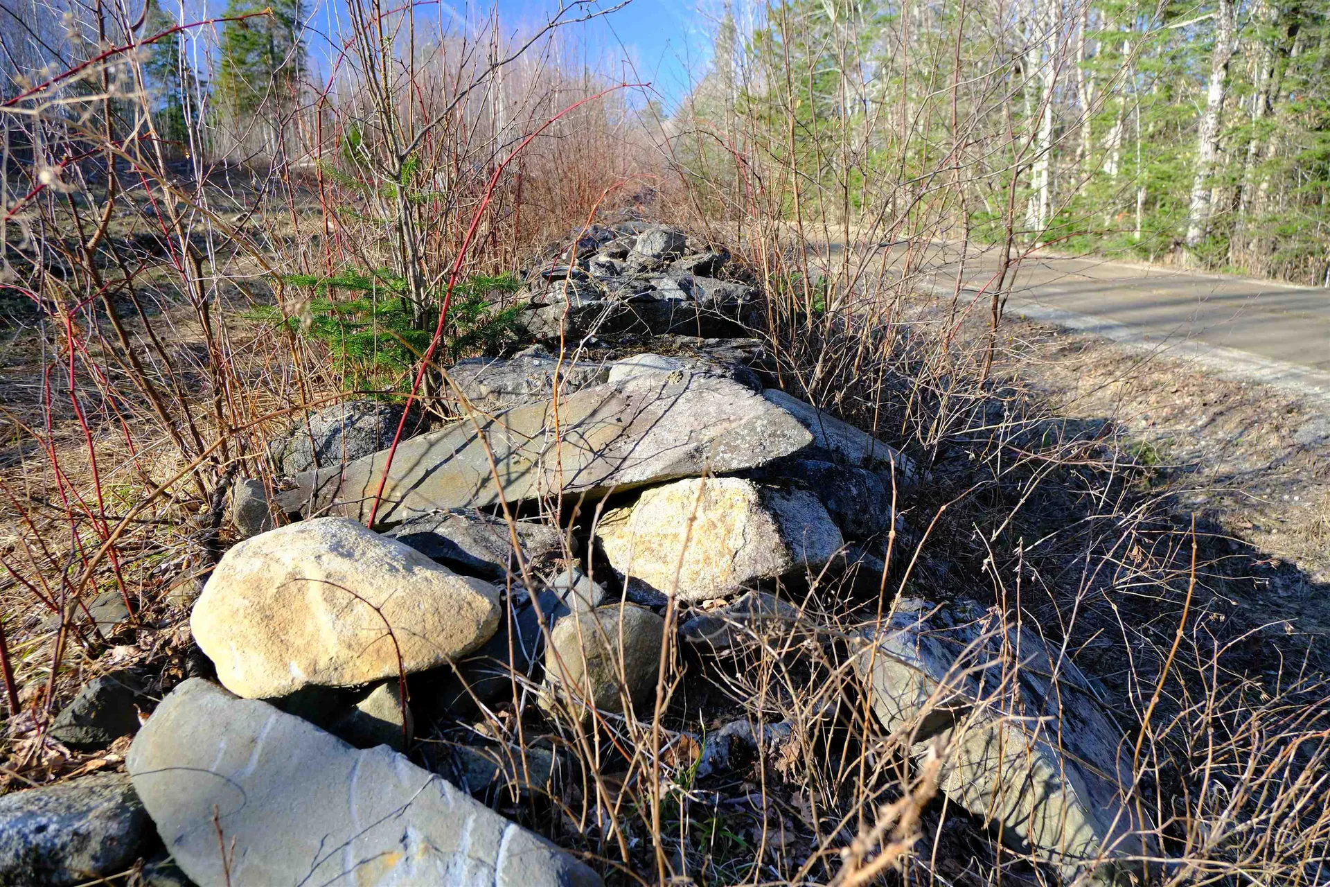 208 Drake Place Road Sheffield VT 06359
