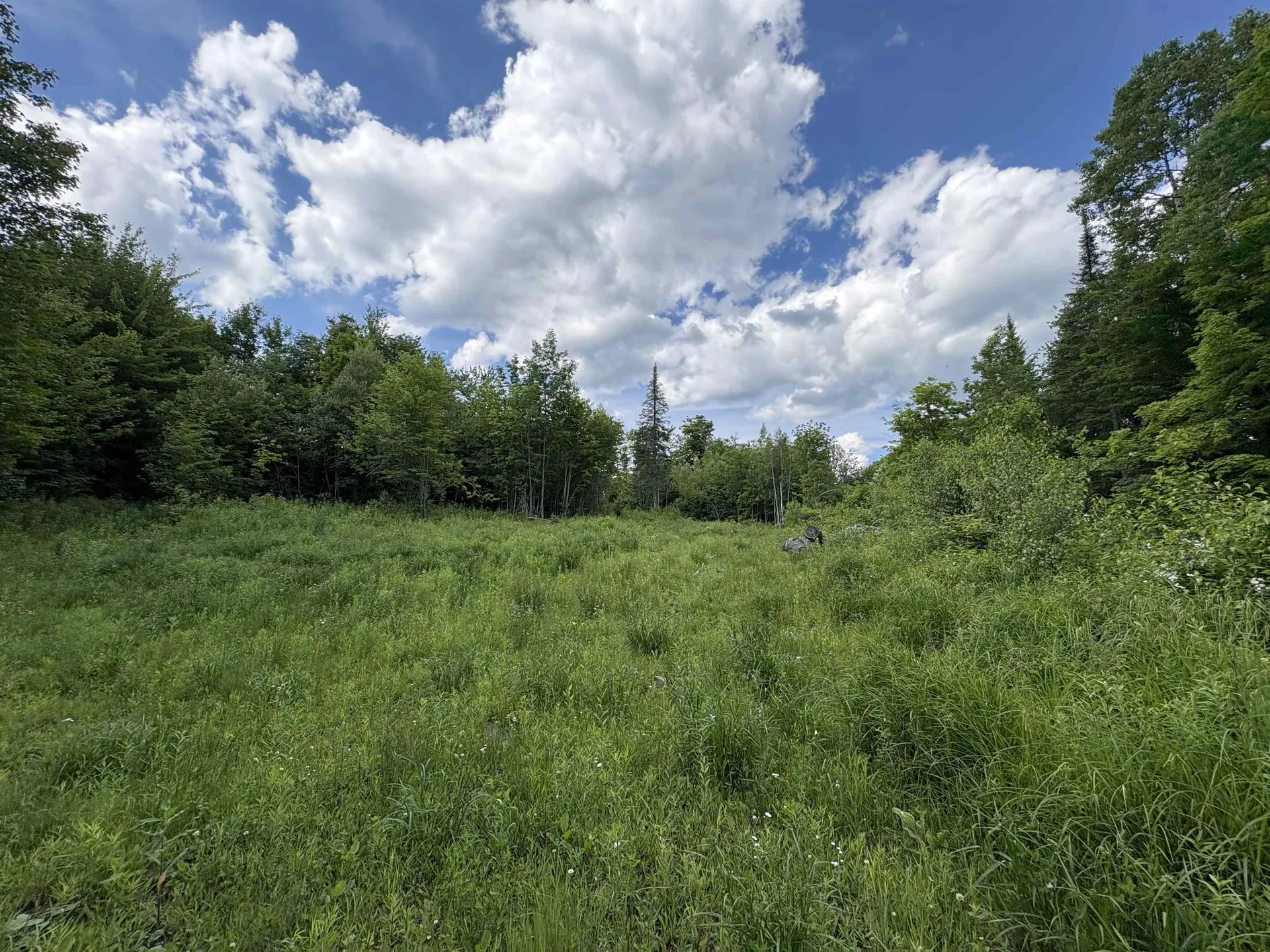 208 Drake Place Road Sheffield VT 06359