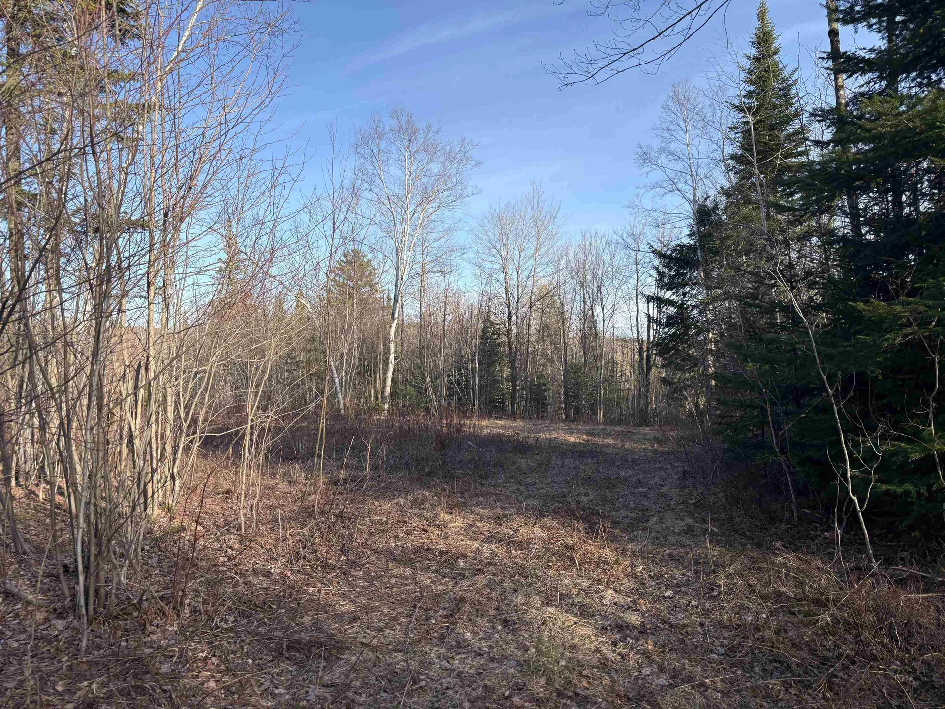 208 Drake Place Road Sheffield VT 06359