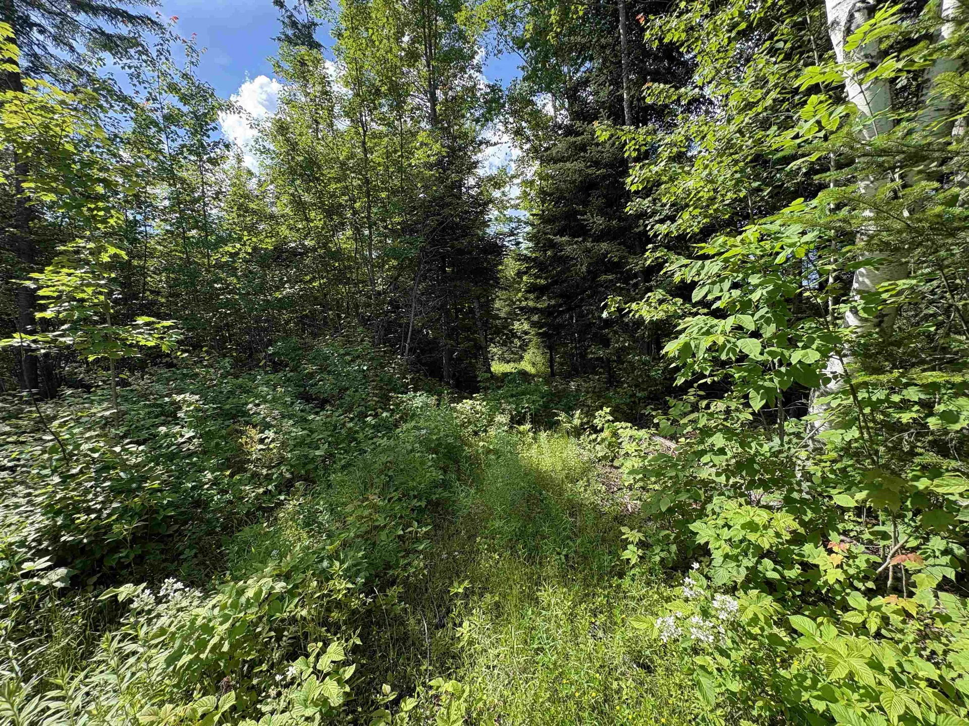 208 Drake Place Road Sheffield VT 06359