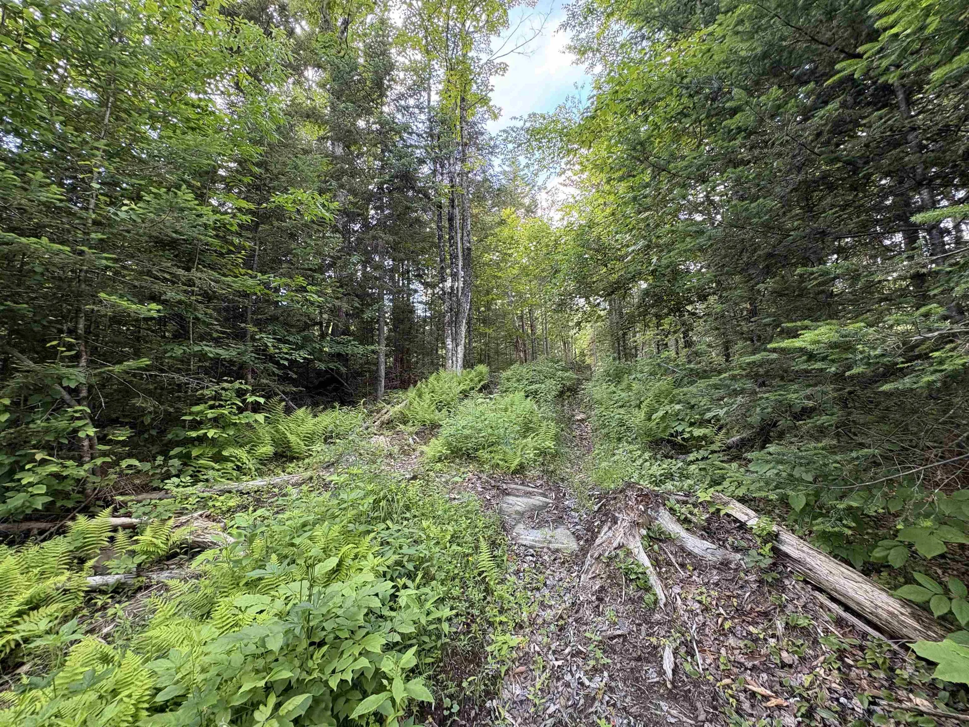 208 Drake Place Road Sheffield VT 06359