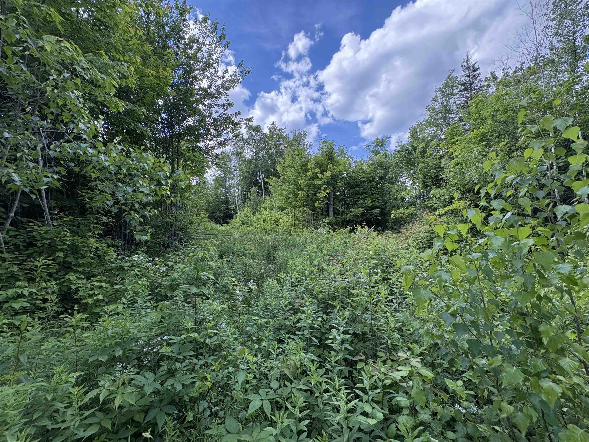 208 Drake Place Road Sheffield VT 06359