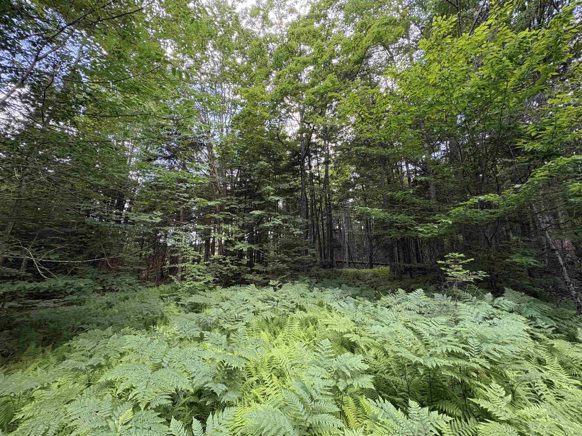 208 Drake Place Road Sheffield VT 06359