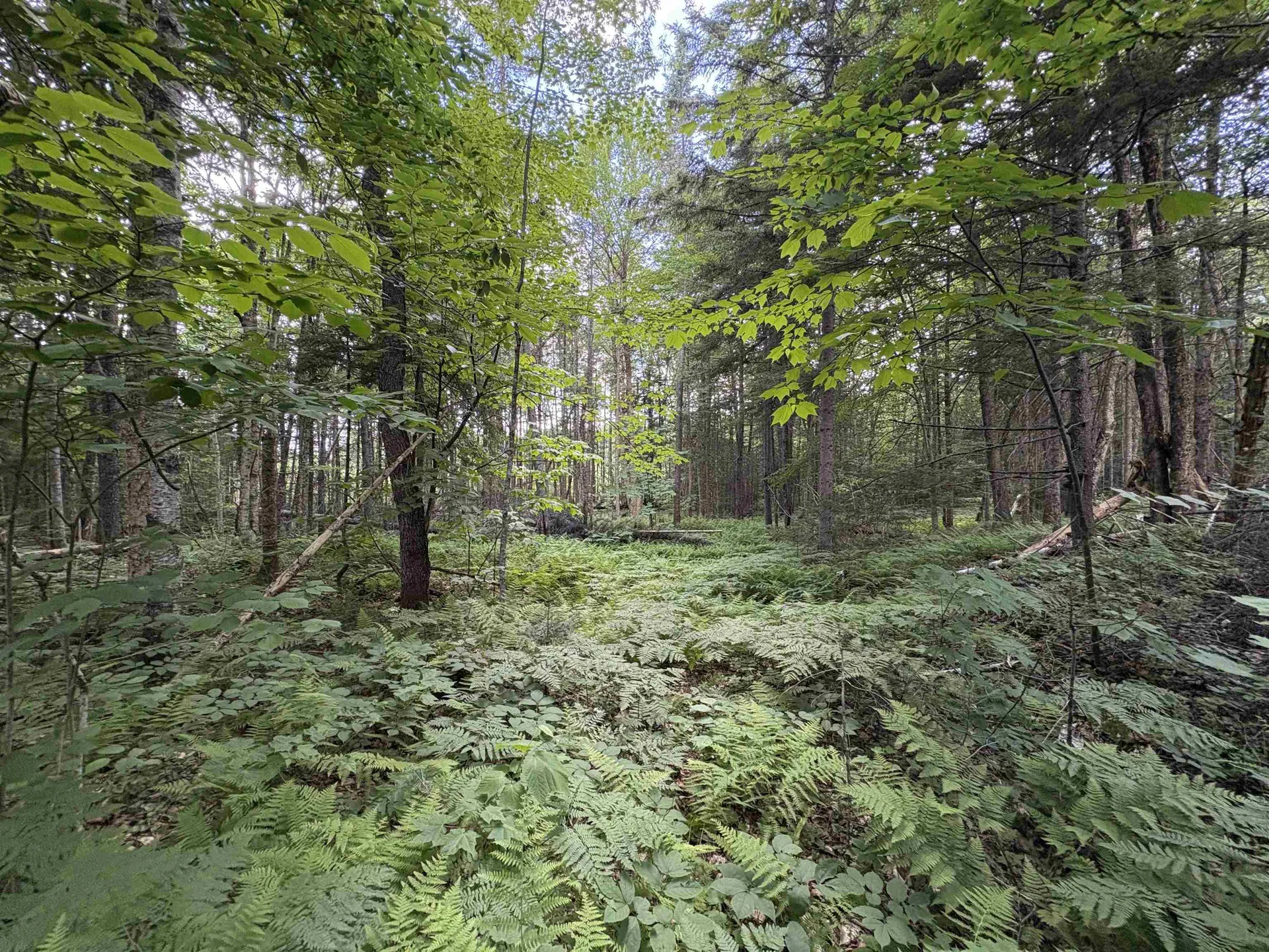 208 Drake Place Road Sheffield VT 06359