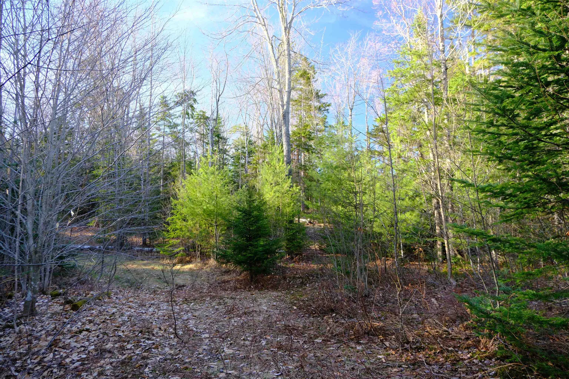208 Drake Place Road Sheffield VT 06359