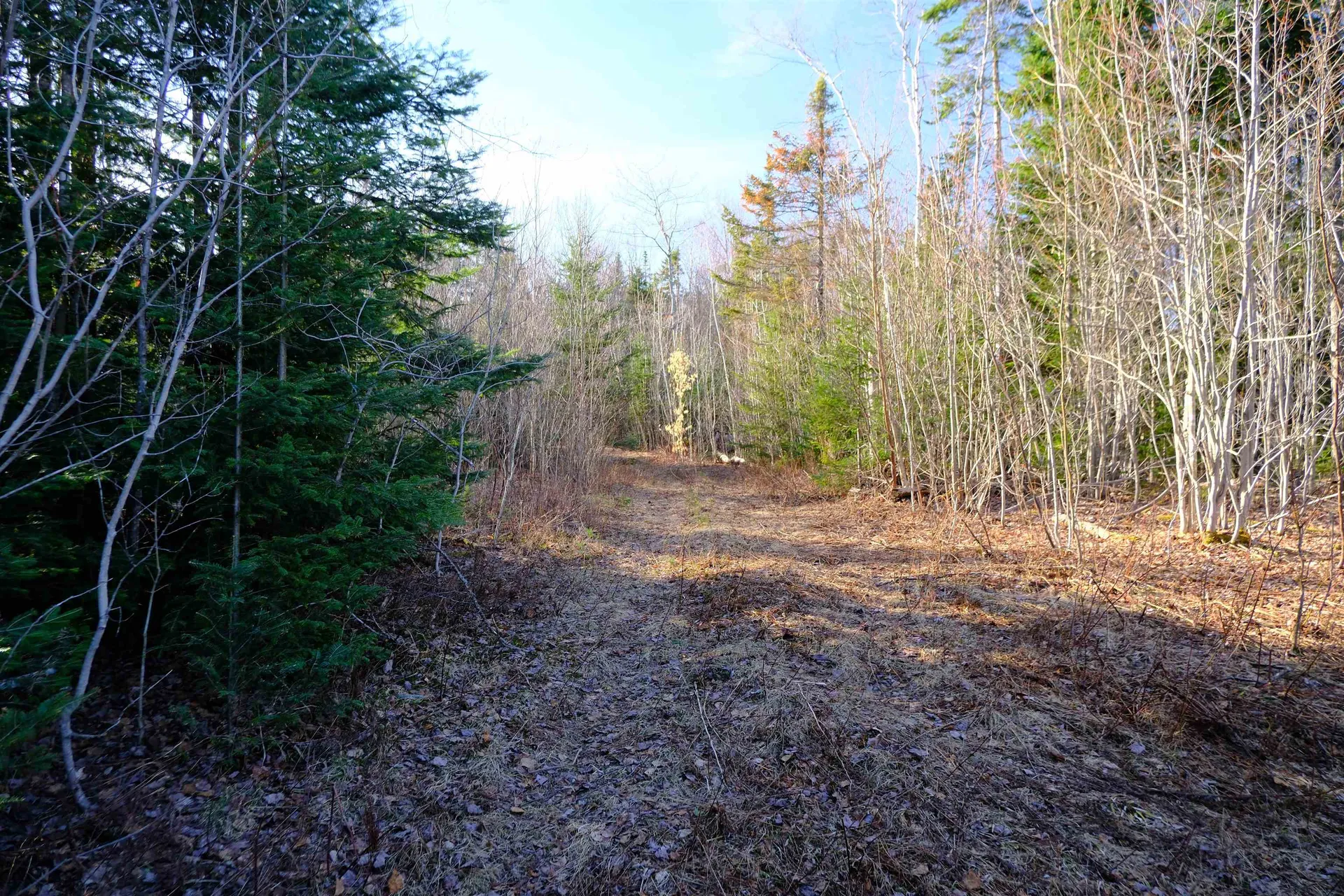 208 Drake Place Road Sheffield VT 06359
