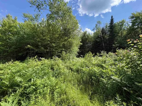 208 Drake Place Road Sheffield VT 06359