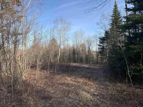 208 Drake Place Road Sheffield VT 06359
