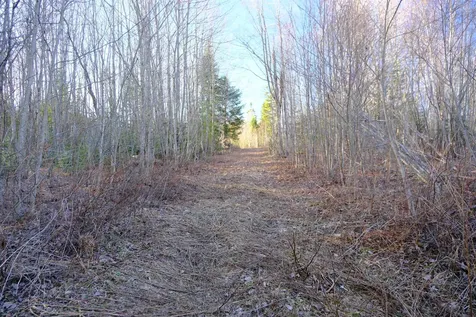 208 Drake Place Road Sheffield VT 06359