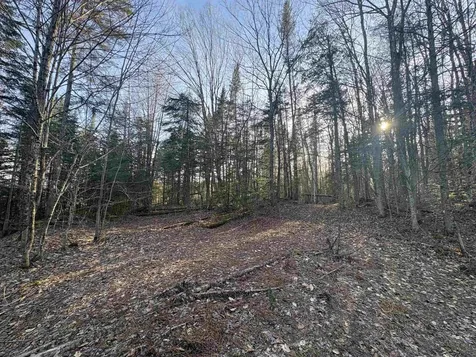 208 Drake Place Road Sheffield VT 06359