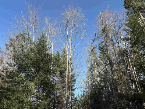 208 Drake Place Road Sheffield VT 06359
