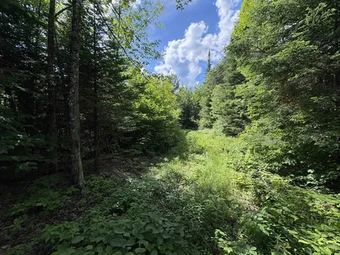 208 Drake Place Road Sheffield VT 06359