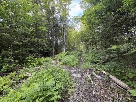 208 Drake Place Road Sheffield VT 06359