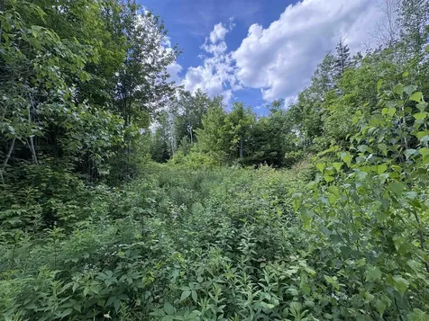 208 Drake Place Road Sheffield VT 06359