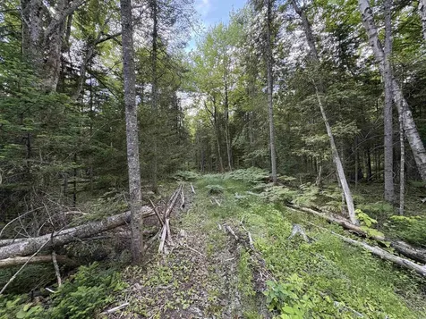 208 Drake Place Road Sheffield VT 06359