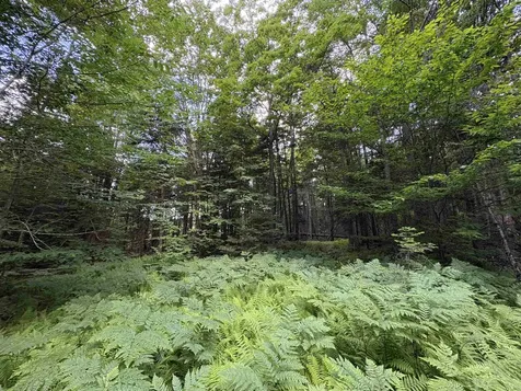 208 Drake Place Road Sheffield VT 06359